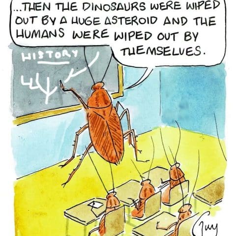 Cartoon of a large cockroach teaching smaller cockroaches in a classroom with a blackboard labeled HISTORY.