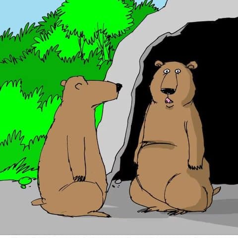 Two bears sitting by a cave entrance, one bear looks shocked, the other looks nonchalant as he explains.