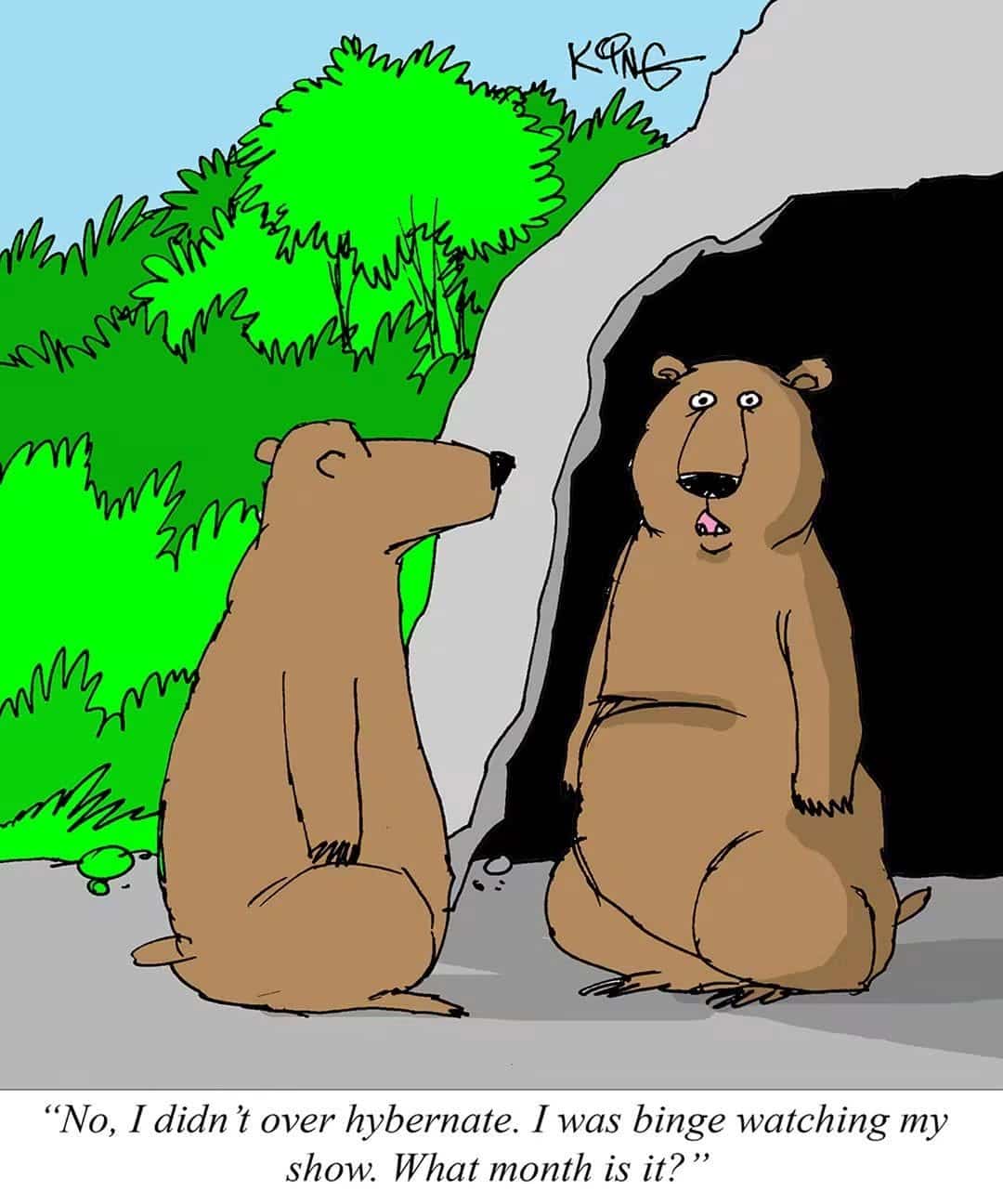 Two bears sitting by a cave entrance, one bear looks shocked, the other looks nonchalant as he explains.