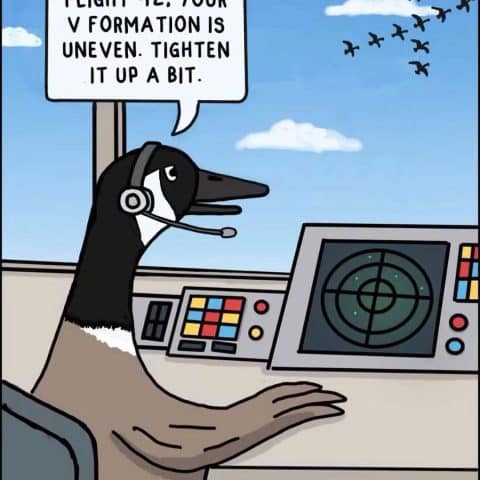 Cartoon of a goose with a headset sitting at a control panel with radar, speaking about a V formation of flying birds.