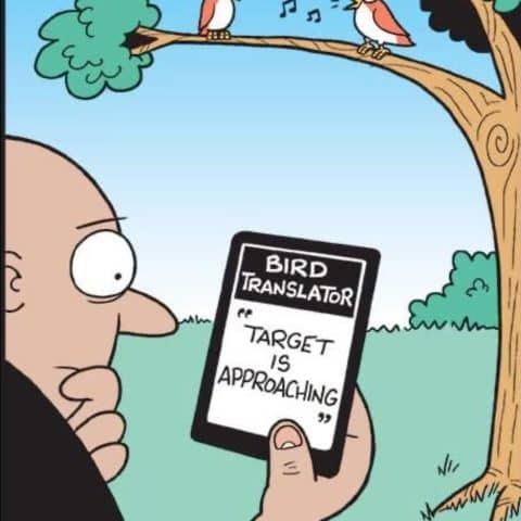 Cartoon of a bald man holding a device showing 'Bird Translator: Target is Approaching' while two birds sit on a tree branch, one singing musical notes.