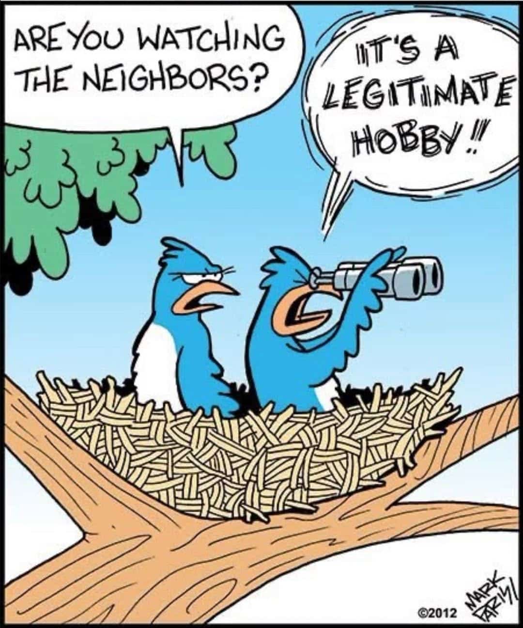 Two blue birds sitting in a nest on a tree branch, one using binoculars, the other looking annoyed. One bird says, "Are you watching the neighbors?" The other replies, "It's a legitimate hobby!"