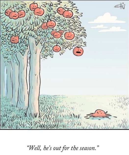 A cartoon tree with apples that have sad or worried faces, one apple fallen and splashed on the ground, and a caption saying 'Well, he's out for the season.'