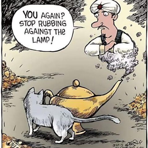 A grumpy genie emerging from a magic lamp while a cat rubs the lamp's spout in a rocky cave-like setting.