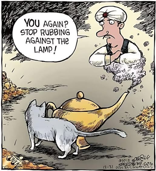 A grumpy genie emerging from a magic lamp while a cat rubs the lamp's spout in a rocky cave-like setting.