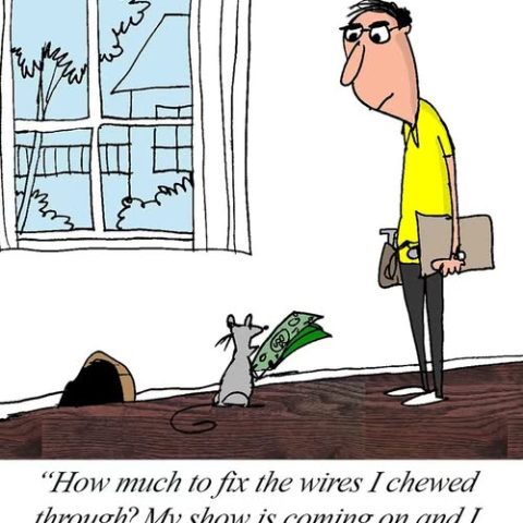 Cartoon of a man in a yellow shirt holding a bag and clipboard looking at a mouse holding money near a hole with a caption about fixing chewed wires to watch a show.