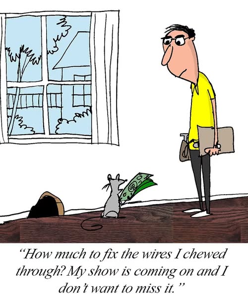 Cartoon of a man in a yellow shirt holding a bag and clipboard looking at a mouse holding money near a hole with a caption about fixing chewed wires to watch a show.