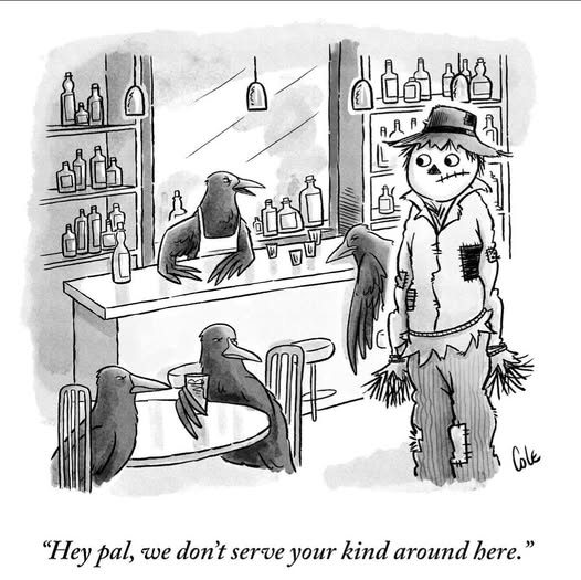 A scarecrow stands inside a bar where four crows are sitting and drinking. One crow behind the bar says to the scarecrow, "Hey pal, we don't serve your kind around here."