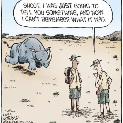 A cartoon of two safari guides standing in a dry landscape with a charging rhino behind one of them. One guide says he was just about to say something but forgot.