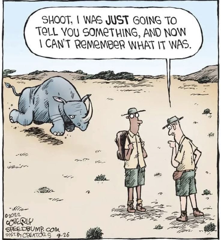 A cartoon of two safari guides standing in a dry landscape with a charging rhino behind one of them. One guide says he was just about to say something but forgot.