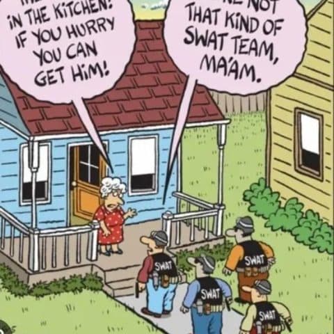 A woman standing on her porch tells a group of four SWAT members 'The fly is in the kitchen! If you hurry you can get him!' The SWAT team leader replies, 'We're not that kind of SWAT team, ma'am.'