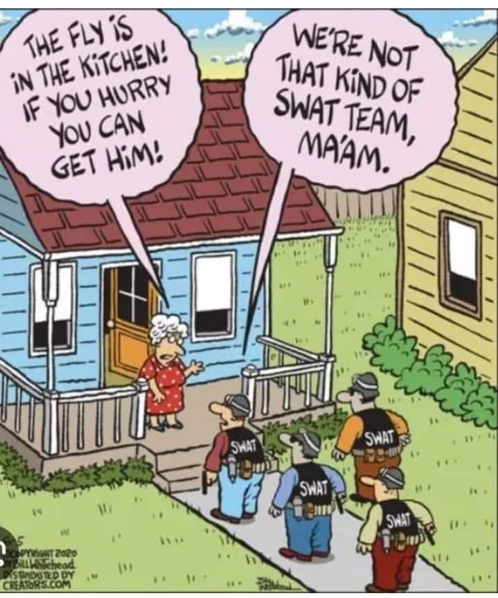 A woman standing on her porch tells a group of four SWAT members 'The fly is in the kitchen! If you hurry you can get him!' The SWAT team leader replies, 'We're not that kind of SWAT team, ma'am.'