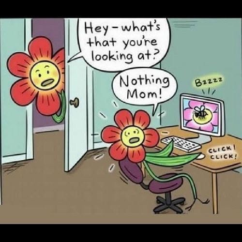 A cartoon flower sitting on a chair looking at a computer screen showing a buzzing bee, while another flower peeks in through the door asking a question.