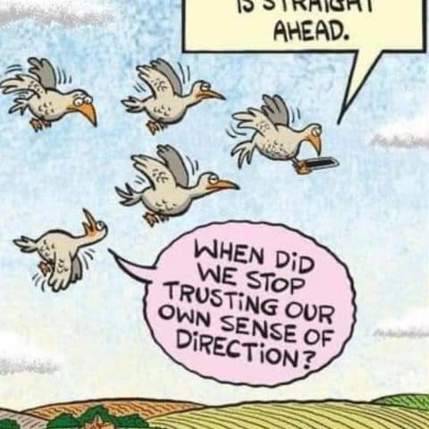 Cartoon of five birds flying over a rural landscape, one bird holding a GPS device with speech bubbles above them.