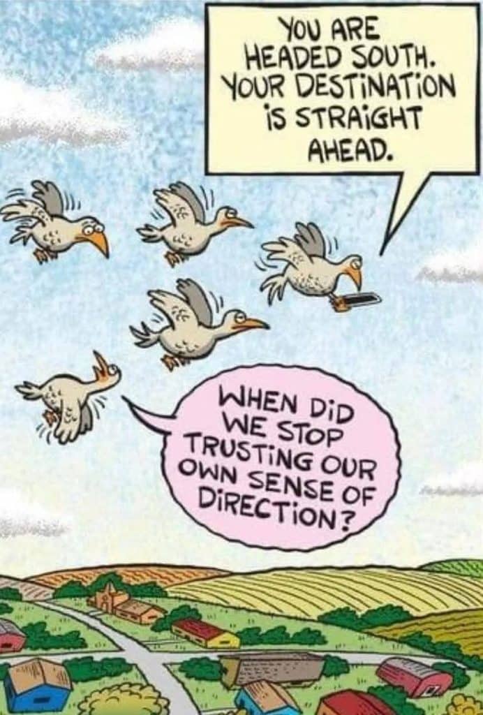 Cartoon of five birds flying over a rural landscape, one bird holding a GPS device with speech bubbles above them.