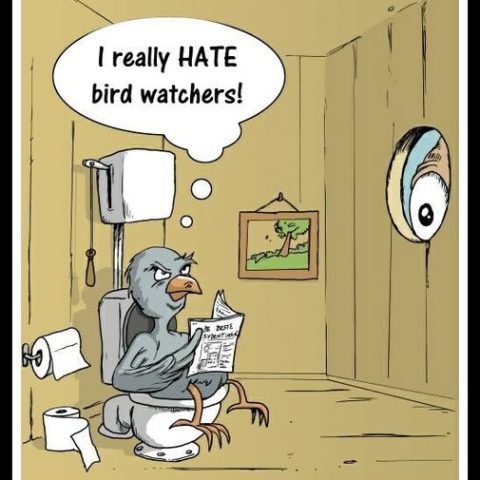 Cartoon bird sitting on a toilet inside a wooden outhouse, reading a newspaper and looking angry, thinking 'I really HATE bird watchers!' while an eye peers through a hole in the wall.