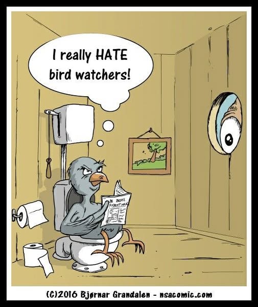 Cartoon bird sitting on a toilet inside a wooden outhouse, reading a newspaper and looking angry, thinking 'I really HATE bird watchers!' while an eye peers through a hole in the wall.