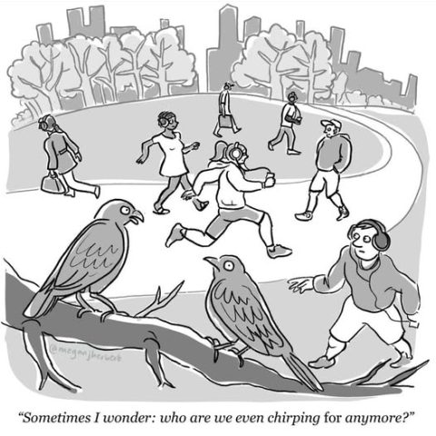 Two birds perched on a branch and several people jogging or walking around a park path, all wearing headphones, with a caption about wondering who they are chirping for.