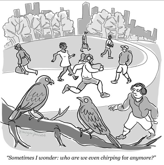 Two birds perched on a branch and several people jogging or walking around a park path, all wearing headphones, with a caption about wondering who they are chirping for.