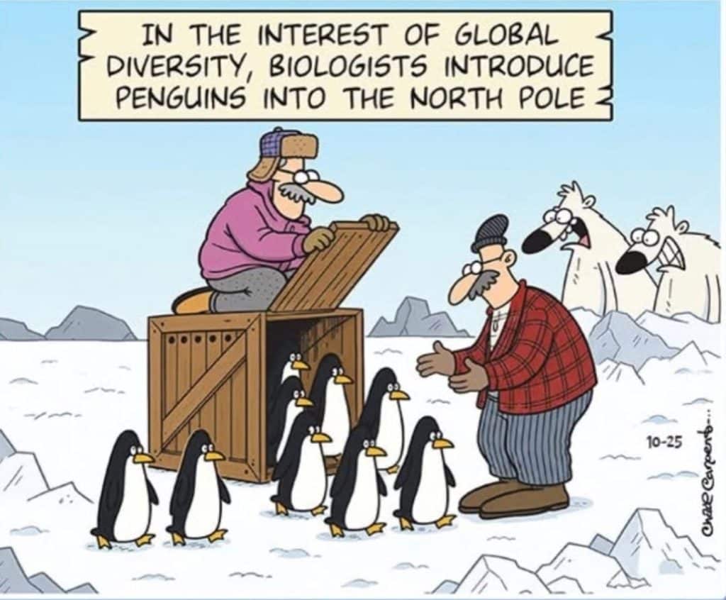 Two men in cold weather gear releasing penguins from a crate at the snowy North Pole, with two shocked polar bears watching in the background.