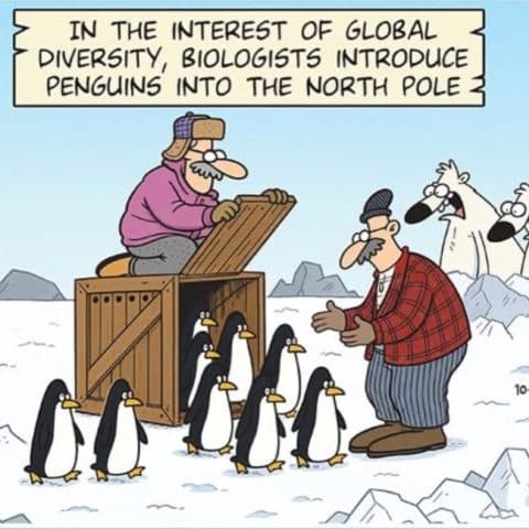 Two men in cold weather gear releasing penguins from a crate at the snowy North Pole, with two shocked polar bears watching in the background.