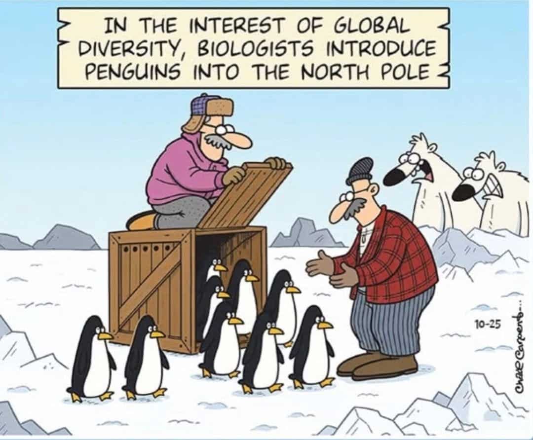 Two men in cold weather gear releasing penguins from a crate at the snowy North Pole, with two shocked polar bears watching in the background.