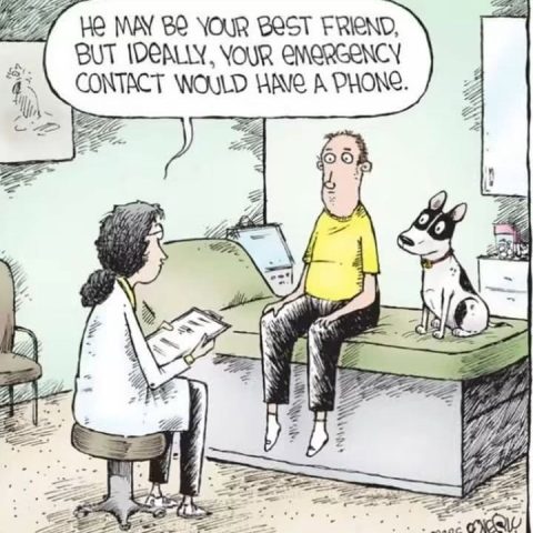 A cartoon shows a doctor talking to a man and his dog in a medical office. The doctor says, 'He may be your best friend, but ideally, your emergency contact would have a phone.'