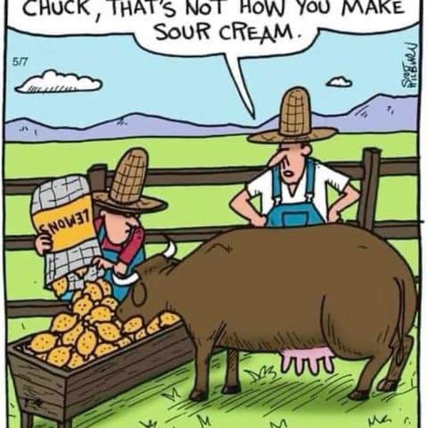 Two farmers wearing corn cob hats by a cow in a pen. One farmer is dumping a bag labeled 'lemons' into the cow's feeder while the other scolds him.